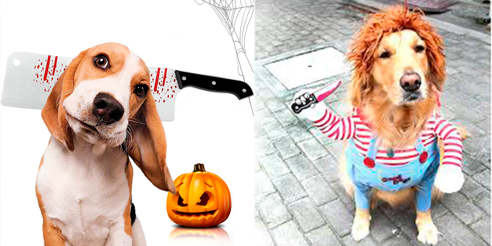 5 divertidos disfraces de Halloween para vestir a tu mascota - La Visión