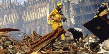 Hero Dogs of 9/11