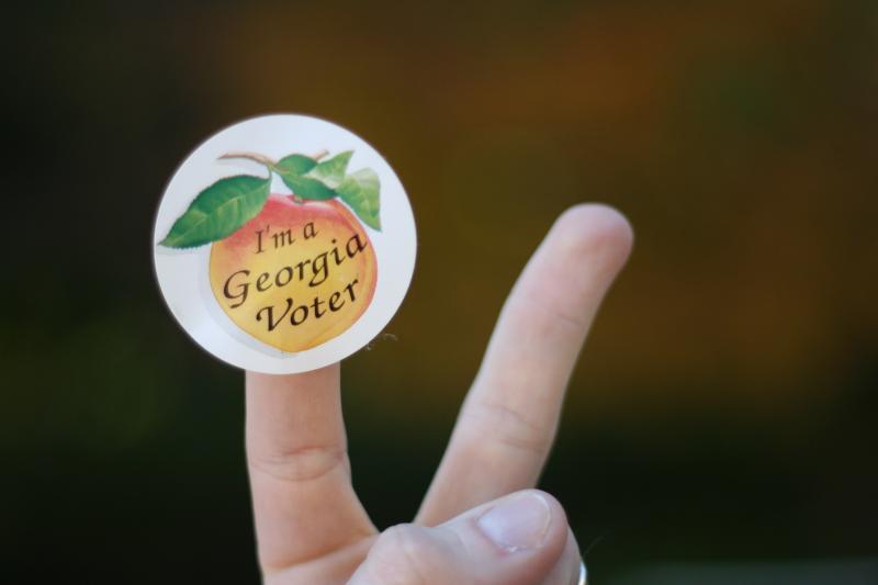 Georgia voter