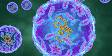 Representación del poliovirus (Créditos: Getty Images/Referencial)