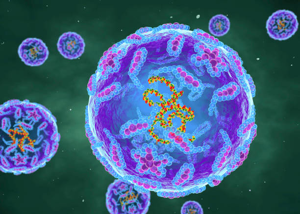Representación del poliovirus (Créditos: Getty Images/Referencial)