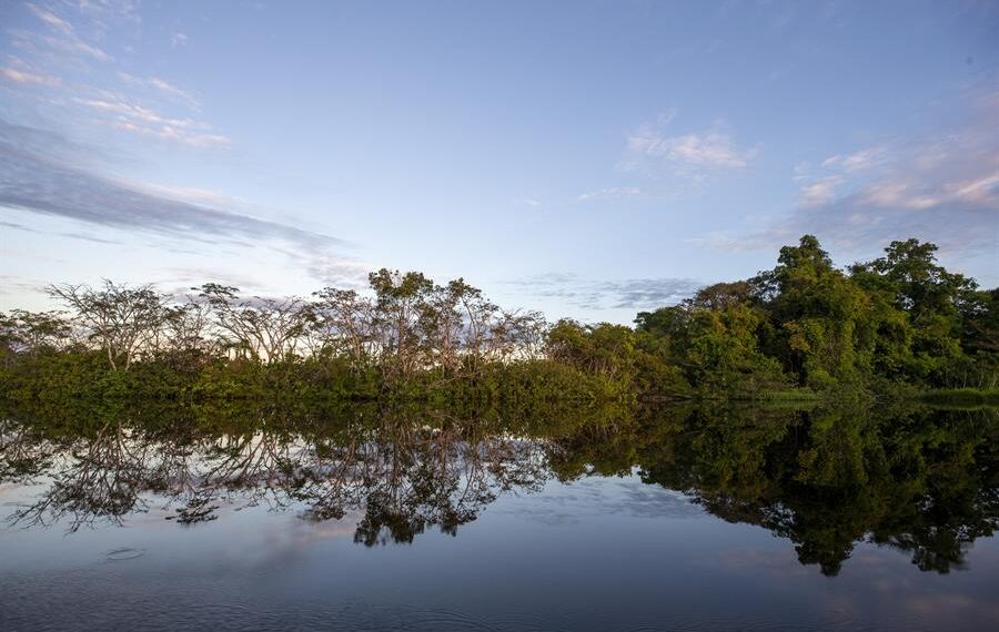 Foto de archivo de las orillas de la Laguna Grande de Cuyabeno, en el Parque Nacional Yasuní (Ecuador). EFE/José Jácome