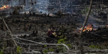 .Personas prenden fuego en un área boscosa en Careiro Castanho, Amazonas (Brasil), en una fotografía de archivo. EFE/Raphael Alves