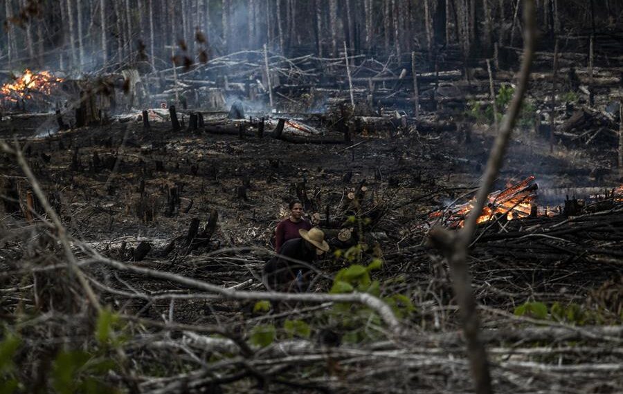 .Personas prenden fuego en un área boscosa en Careiro Castanho, Amazonas (Brasil), en una fotografía de archivo. EFE/Raphael Alves