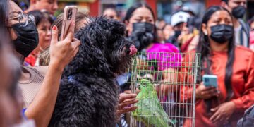 Personas llevan a sus mascotas a bendecir en el marco de los festejos de San Francisco de Asís, hoy, en el municipio de San Cristobal de las Casas, estado de Chiapas (México). EFE/Carlos López