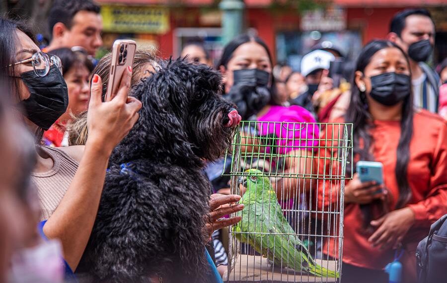 Personas llevan a sus mascotas a bendecir en el marco de los festejos de San Francisco de Asís, hoy, en el municipio de San Cristobal de las Casas, estado de Chiapas (México). EFE/Carlos López