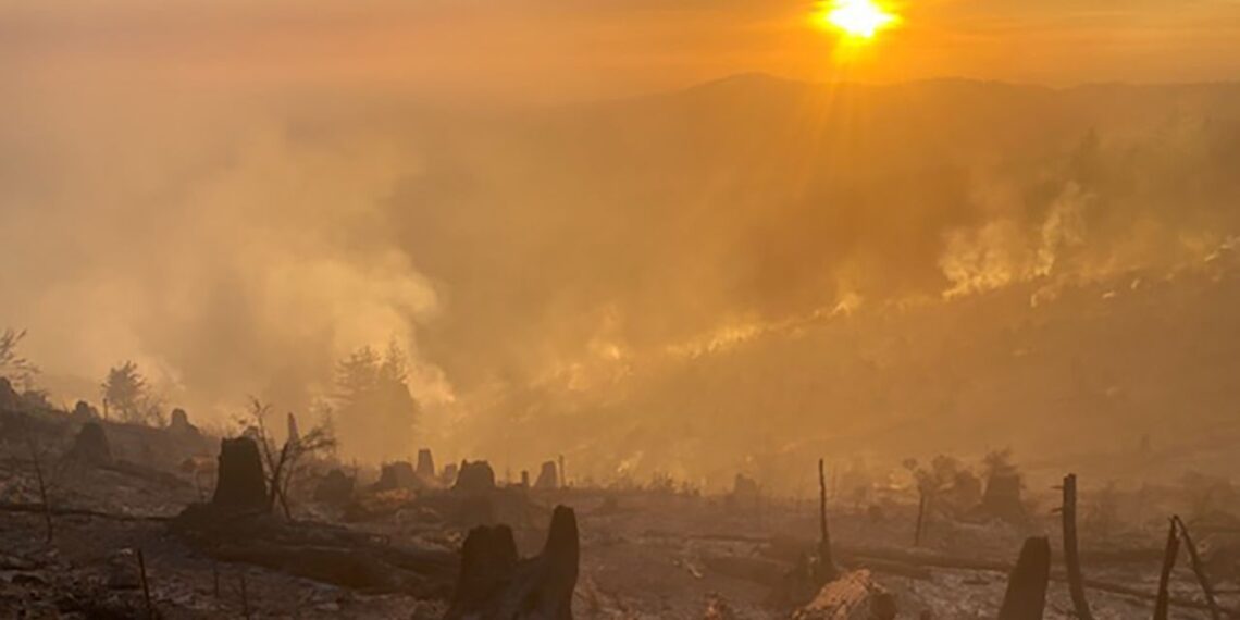 El incendio no ha hecho otra cosa que seguir incrementando (Fuente: Washington State DNR Wildfire)