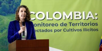 La directora regional de Unodc para la región Andina y el Cono Sur, Candice Welsch, habla durante una rueda de prensa, hoy en Bogotá (Colombia). EFE/Mauricio Dueñas Castañeda