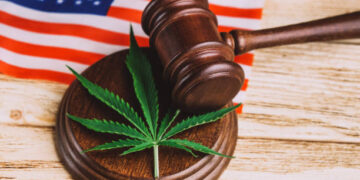 Al menos 5 estados consultaron popularmente distintas propuestas que buscaban legalizar el uso de la marihuana (Créditos:  Getty Images)