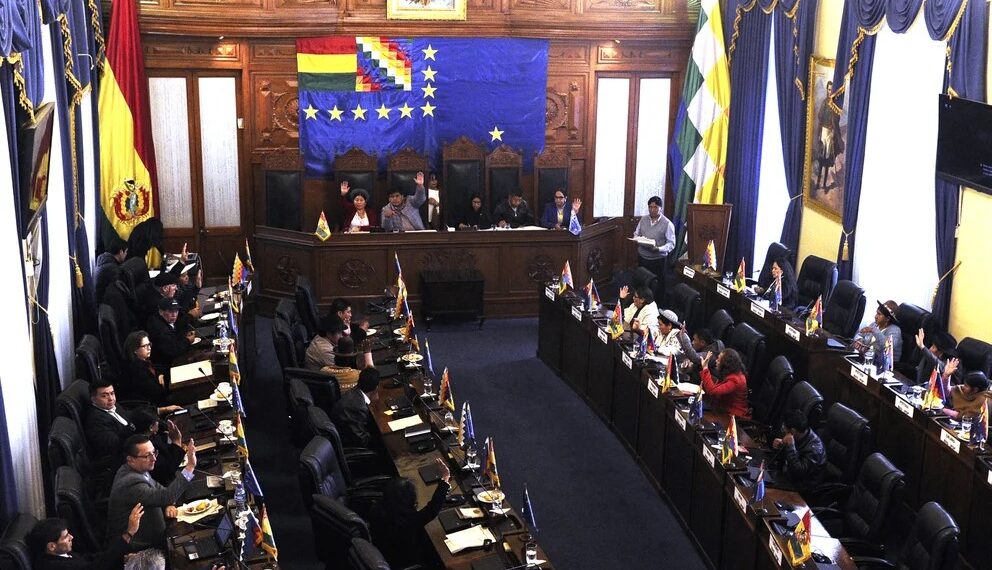 El Senado de Bolivia aprobó la ley de censo poblacional (Créditos: AFP)