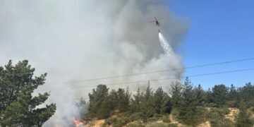 Distintos incendios forestales afectaron dramáticamente a reservas naturales de Chile (Fuente: Twitter @conaf_valpa)