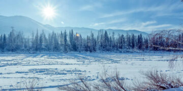 Los virus habrían vuelto gracias al descongelamiento de Siberia (Créditos: Getty Images)