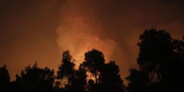 Uruguay afronta una temporada "compleja" en materia de incendios forestales y podría incluso llegar a cifras récord de intervenciones (Archivo EFE)
