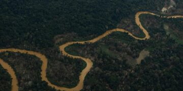 Fotografía del río Mucajaí, con un color escuro, debido a la presencia de minería ilegal en el estado amazónico de Roraima (Foto: EFE)