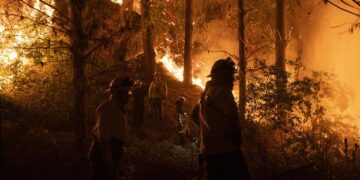 El gobierno chileno anunció sus primeras medidas para ayudar a los damnificados por los incendios (Foto: EFE)
