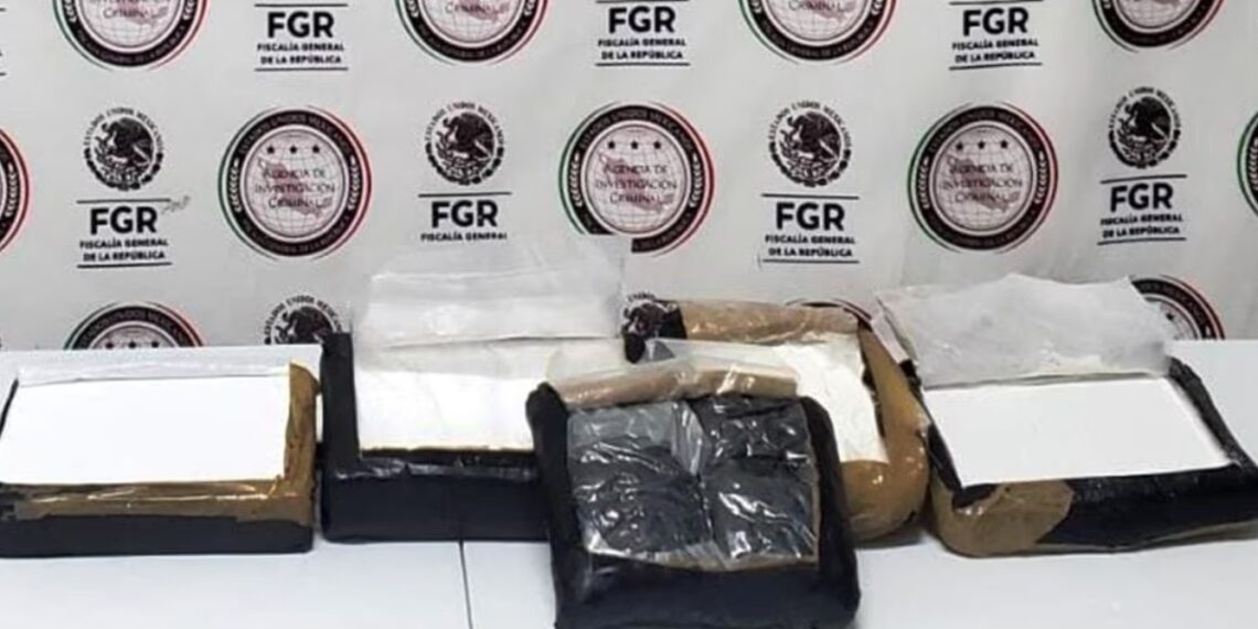 Elementos de la FGR detectaron paquetes escondidos en el autobús con aproximadamente uno y cuatro kilogramos de probable heroína y fentanilo, respectivamente (Foto: Universal)