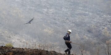Fotografía de archivo, tomada en febrero de 2019, en la que se registró a un bombero al caminar por un cerro consumido por un incendio forestal, que devastó cerca de 120 hectáreas de bosque, en zona rural de Cali (Colombia).EFE/Ernesto Guzmán