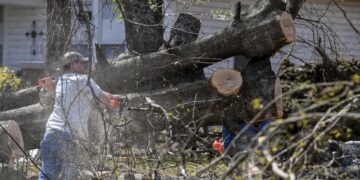 Un residente trabaja para despejar un árbol caído del frente de una casa el día después de que un tornado azotara Amory, Mississippi, EE. UU. EFE/EPA/THOMAS GRANING