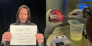 Mediante un Reddit AMA, Keanu Reeves se enteró que una bacteria fue bautizada en su honor (Foto: Reddit/Unsplash)