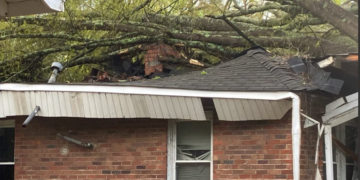 Un árbol daño severamente una casa en el condado de Gordon durante una de las tormentas que impactaron regiones de Georgia este sábado. Fotos: Portal web/Atlanta News First.