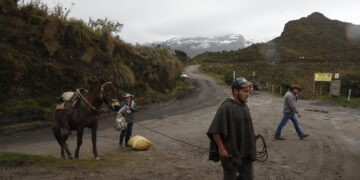 Campesinos salen con sus pertenencias y ganado del Volcán Nevado del Ruiz en Murillo (Colombia). EFE/ Ernesto Gúzman Jr.