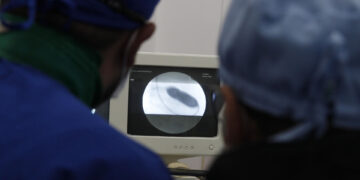 Profesionales de salud humana y medicina veterinaria observan un monitor mientras realizan una valvuloplastia pulmonar al animal "Moka" (oculto), hoy, en Medellín (Colombia). EFE/ Luis Eduardo Noriega A.