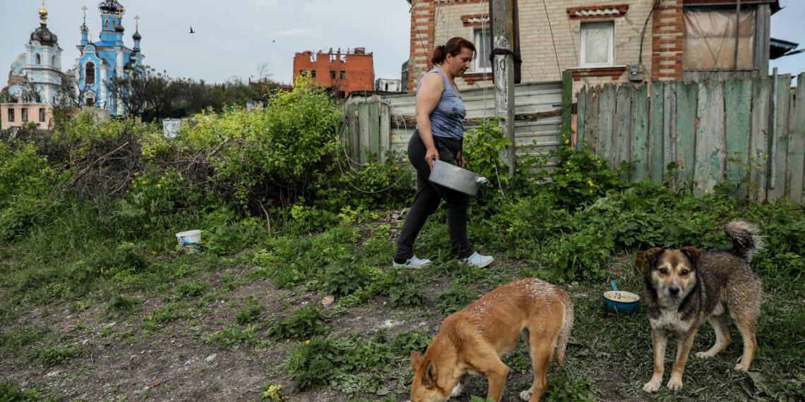 Olga alimenta a perros sin hogar en el pueblo de Bohorodychne, región de Donetsk. Eugen y su esposa Olga regresaron a Bohorodychne en enero, fueron de los primeros residentes en volver a casa. Bohorodyche tenía una población de aproximadamente 600 personas antes de la guerra. Solo 18 personas han regresado a sus casas hasta el momento.EFE/OLEG PETRASYUK