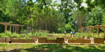 Los funcionarios de la ciudad afirman que esta actualización es parte de una iniciativa más amplia para proteger y hacer crecer el dosel de los árboles de Atlanta. Crédito: National Geographic