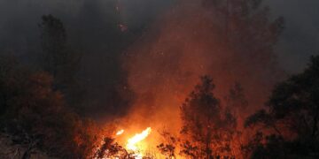 En lo que va de 2023 se han producido 2.214 incendios forestales. Fotografía de archivo. EFE/John G. Mabanglo