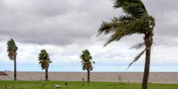 Fotografía de archivo de los vientos provocados por un ciclón. EFE/Sarah Yáñez-Richards
