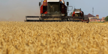 Trabajadores cosechan un campo de trigo en Zaporiyia, Ucrania, el 4 de julio. Alexander Ermochenko/Reuters