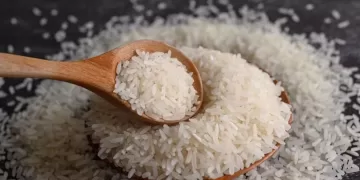 El arroz es un alimento básico en más de 100 países de todo el mundo (Freepik)