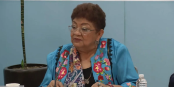 Ernestina Godoy en el Senado de la República. Captura de pantalla