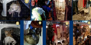 Animales rescatados en Xochimilco. Foto de FGJ-CDMX