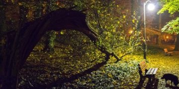 Árbol caído en Polonia - Europa Press/Contacto/Dawid Tatarkiewicz