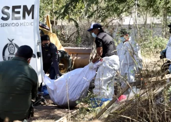 Peritos retiran cuerpos en Sinaloa. Foto de EFE / Archivo