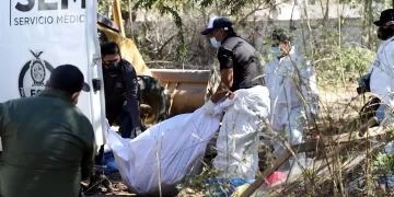 Peritos retiran cuerpos en Sinaloa. Foto de EFE / Archivo