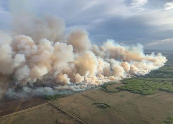 El humo se eleva desde el incendio forestal de ayuda mutua GCU007 en el área forestal de Grande Prairie cerca de TeePee Creek, Alberta, Canadá, el 10 de mayo. (Crédito: Reuters)